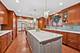 701 Lake, Wilmette, IL 60091