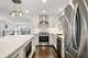 1308 S Plymouth, Chicago, IL 60605