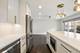 1308 S Plymouth, Chicago, IL 60605