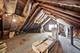 2142 N Mobile, Chicago, IL 60639