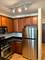 1255 S State Unit 1305, Chicago, IL 60605