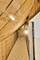 2125 W Walton, Chicago, IL 60622