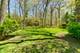 14705 W Mayland Villa, Lincolnshire, IL 60069