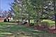 15710 113th, Orland Park, IL 60467