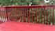 3103 Saganashkee, Naperville, IL 60564