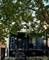 7042 S Eberhart, Chicago, IL 60637