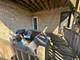 1100 Hull Unit 1, Evanston, IL 60202