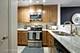 1670 Buttonwood Unit 3014, Schaumburg, IL 60173