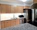 1115 S Plymouth Unit 303, Chicago, IL 60605