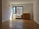 1115 S Plymouth Unit 303, Chicago, IL 60605