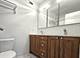 1115 S Plymouth Unit 303, Chicago, IL 60605
