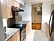 1115 S Plymouth Unit 303, Chicago, IL 60605