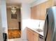 1115 S Plymouth Unit 303, Chicago, IL 60605