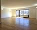 1115 S Plymouth Unit 303, Chicago, IL 60605