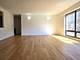 1115 S Plymouth Unit 303, Chicago, IL 60605