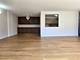 1115 S Plymouth Unit 303, Chicago, IL 60605