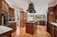 1704 Executive, Glenview, IL 60026