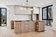 222 S Oakley Unit 1W, Chicago, IL 60612