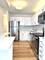 405 N Wabash Unit 311, Chicago, IL 60611