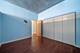 1720 S Michigan Unit 2512, Chicago, IL 60616