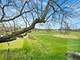 1428 Calcutta, Naperville, IL 60563
