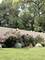 1400 Linden, Homewood, IL 60430