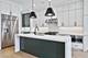 2438 W Berteau, Chicago, IL 60618