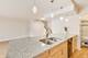 1115 S Plymouth Unit 107, Chicago, IL 60605