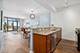 233 E 13th Unit 804, Chicago, IL 60605