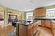 1289 Mallard, Hoffman Estates, IL 60192