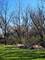 13377 W Blanchard, Gurnee, IL 60031
