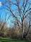 13377 W Blanchard, Gurnee, IL 60031