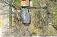 16104 Kedzie, Markham, IL 60426