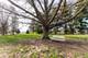 2S739 Nelson Lake, Batavia, IL 60510