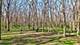 8940 N Stonewall, Newark, IL 60541