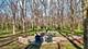 8940 N Stonewall, Newark, IL 60541