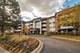 3300 N Carriageway Unit 320, Arlington Heights, IL 60004