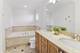 864 W Buckingham Unit 1, Chicago, IL 60657