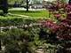 2419 E Olive Unit 1G, Arlington Heights, IL 60004