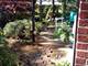 2419 E Olive Unit 1G, Arlington Heights, IL 60004