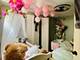 5410 S Harding, Chicago, IL 60632