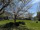 2115 Stafford, Plainfield, IL 60586
