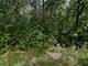 13388 W Hart, Wadsworth, IL 60083