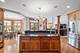 4719 Torphin Hill, Naperville, IL 60564
