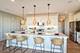 1858 Fulton, Woodridge, IL 60517