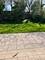 711 Violet, Naperville, IL 60540