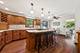 5873 Walnut, Downers Grove, IL 60516