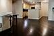55 W Delaware Unit 221, Chicago, IL 60610