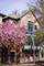 3056 N Paulina, Chicago, IL 60657