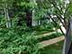 1069 W 14th Unit 204, Chicago, IL 60608